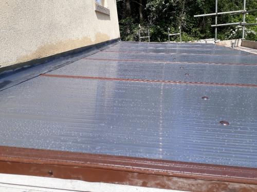 Kemp, Juniper, completed (2)